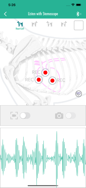 PetStemo: Monitor pet health(圖2)-速報App