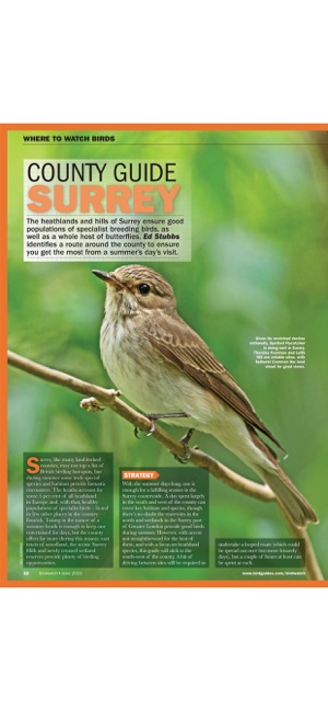 Birdwatch Magazine(圖3)-速報App