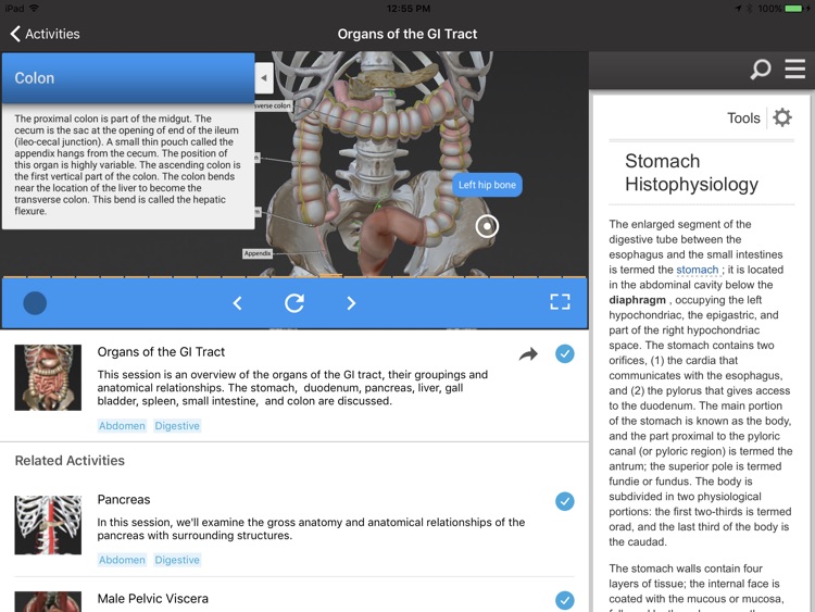 Gale Interactive Human Anatomy screenshot-3