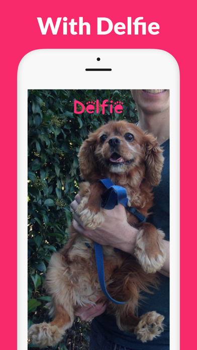Dog Selfie Camera - Delfie screenshot 2