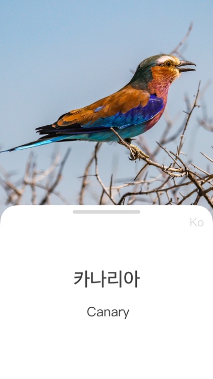 Polarword screenshot-5