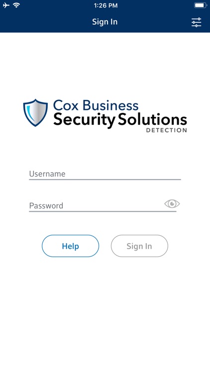 Business Security Solutions