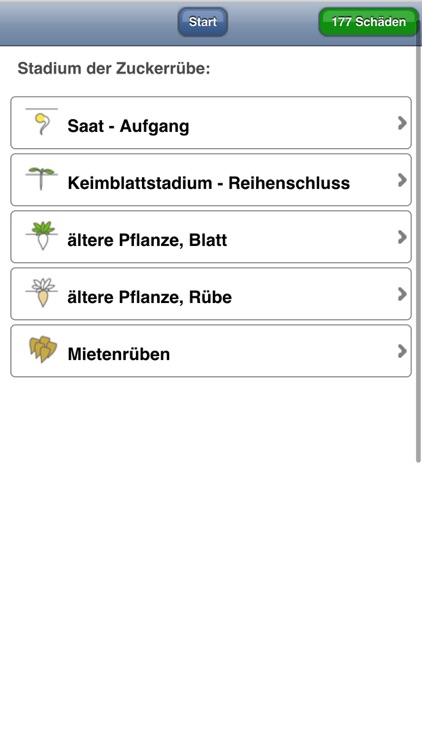 Krankheiten an Zuckerrüben SFZ