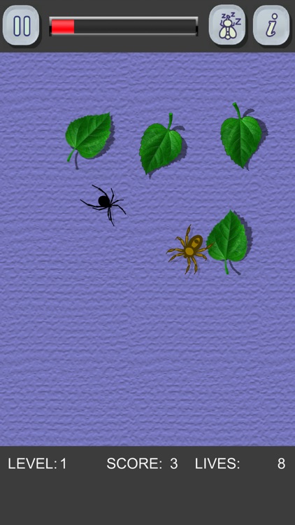 Kill the spiders! Black Widow screenshot-3