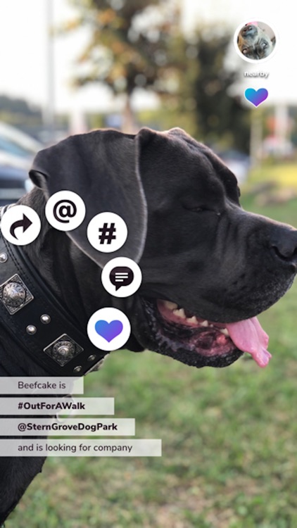 Glassface screenshot-4