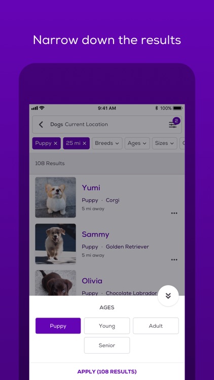 Petfinder Adoptable Pets