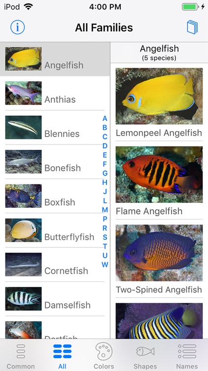 Tetiaroa Fish Guide