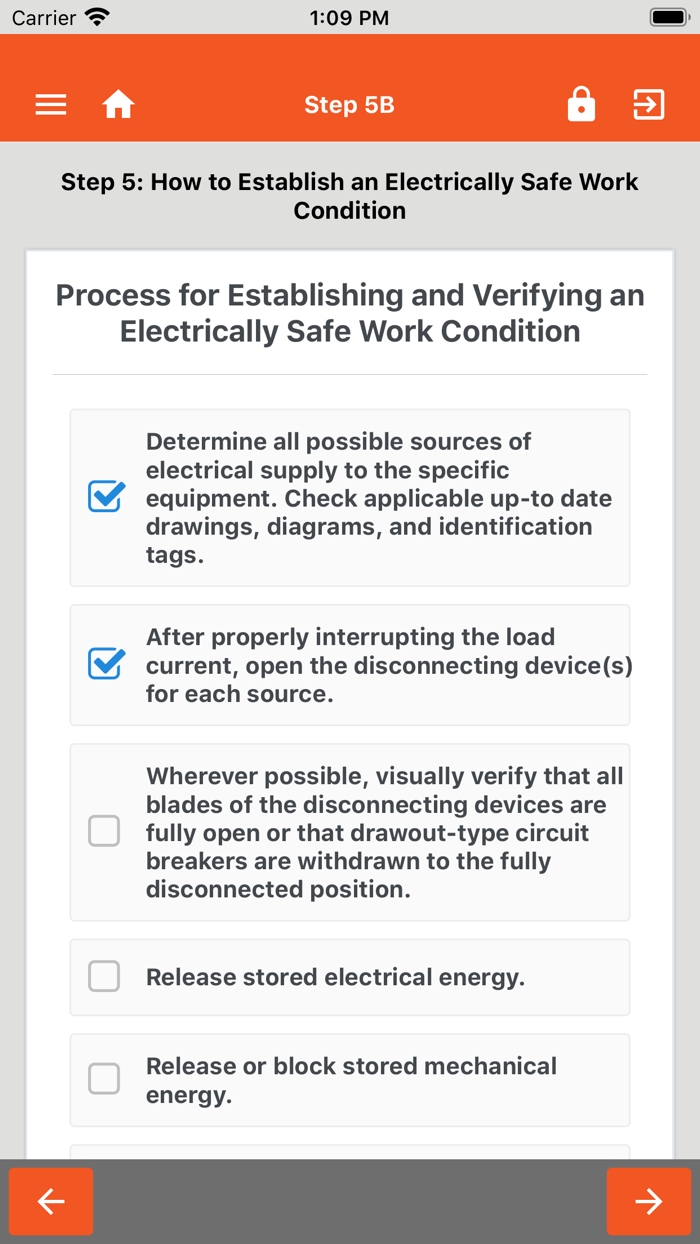 Electrical Risk Checklist NTT