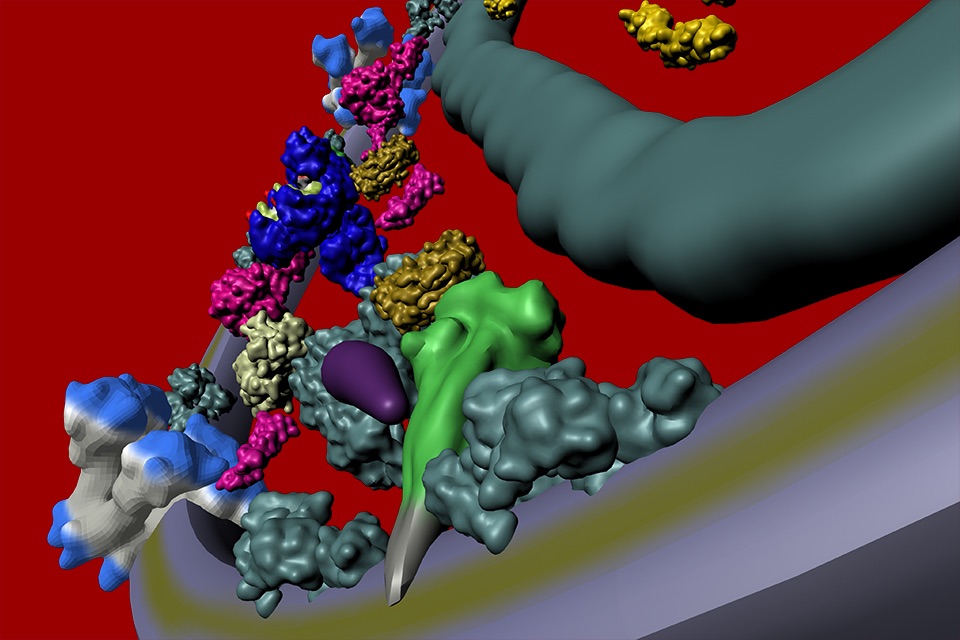 Bio Virus Structure in 3D screenshot 3