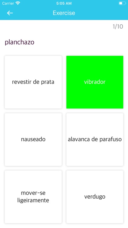 Portuguese Spanish Dictionary screenshot-3