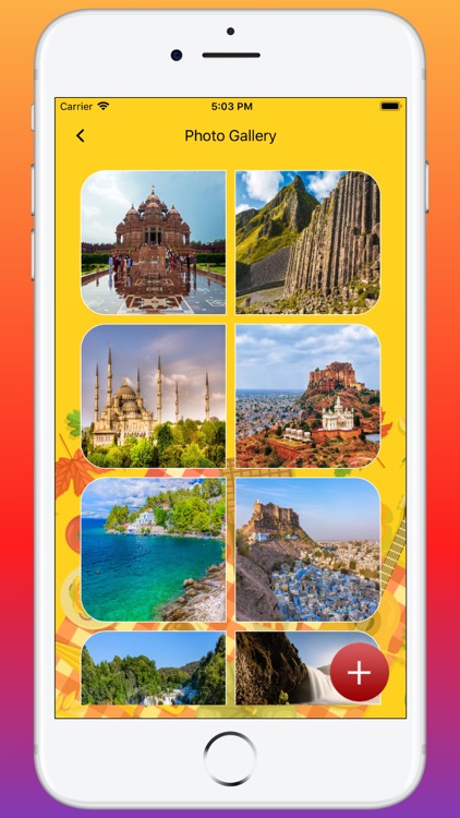 Picnic Organizer's Kit screenshot-9