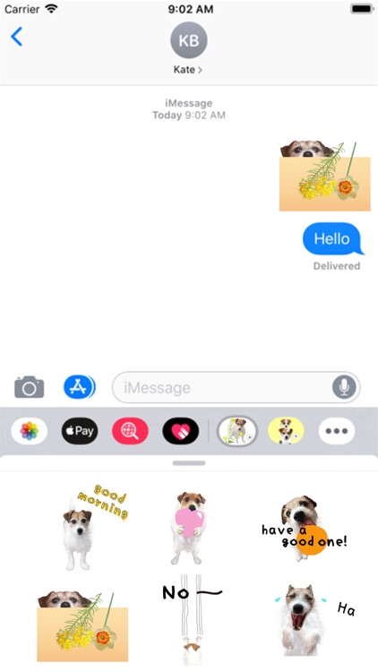 Jack Russell Animation 1