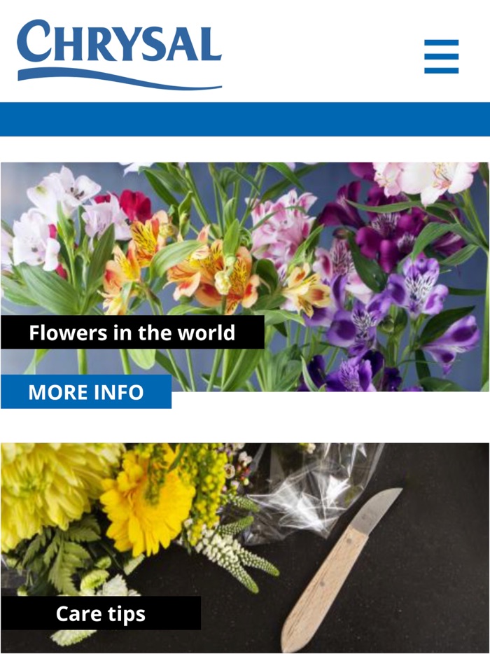 Flower  Plant Care