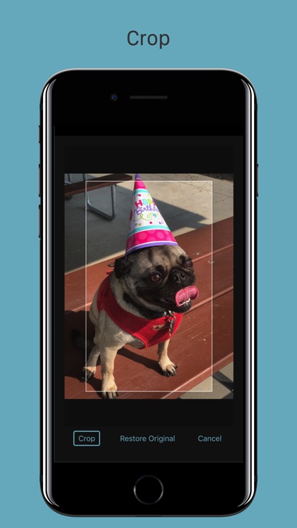 Grid Painter screenshot-4