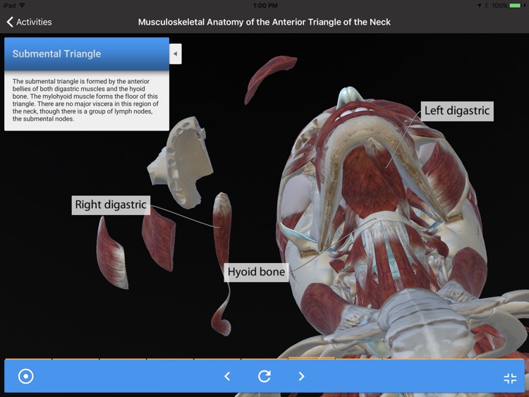 Gale Interactive Human Anatomy