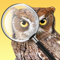 App Icon for iBird Photo Sleuth App in United States IOS App Store