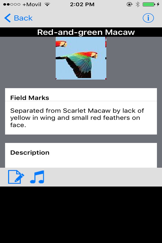 Panama Birds Field Guide Basic screenshot 3