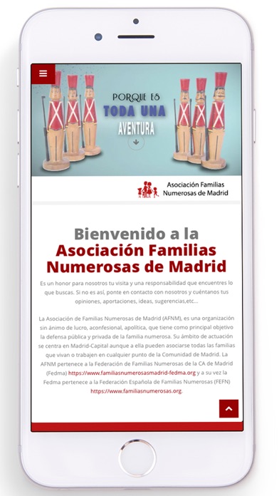 A.Familias Numerosas de MadridCaptura de pantalla de3