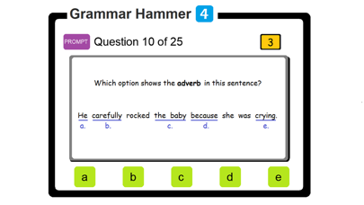 PAM Grammar Hammer 4 screenshot 4