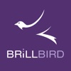 BrillBird