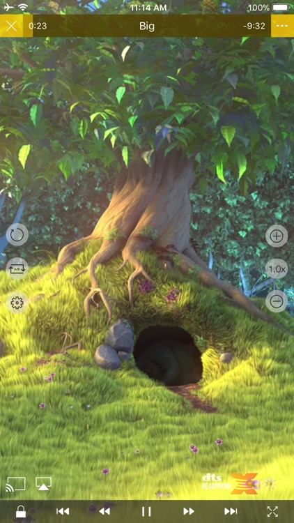 nPlayer Lite screenshot-3