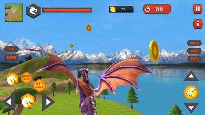Village Dragon Combat screenshot 2