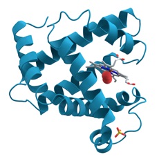 Activities of Medical Biochemistry Quiz