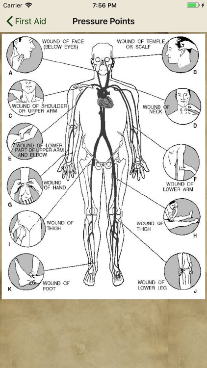 Wilderness First Aid