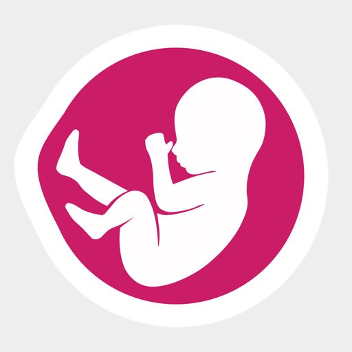 Pregnancy Kick Counter Icon