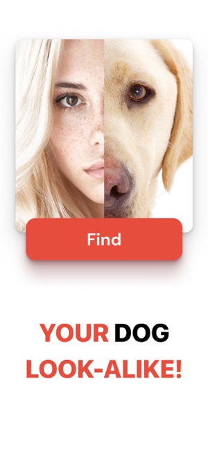 What Dog Do I Look Like ? Twin(圖1)-速報App