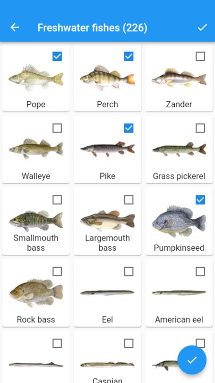 Fish Planet Calendar