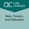 Bees, Flowers, and Pollination