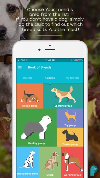 Pawer – All-In-One Dog App screenshot 3