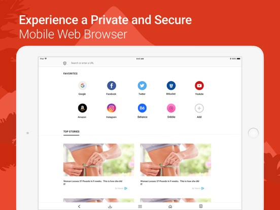 Private Browser Free screenshot