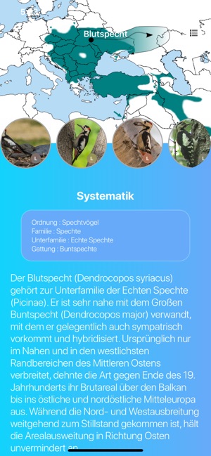 Waldtiere(圖3)-速報App