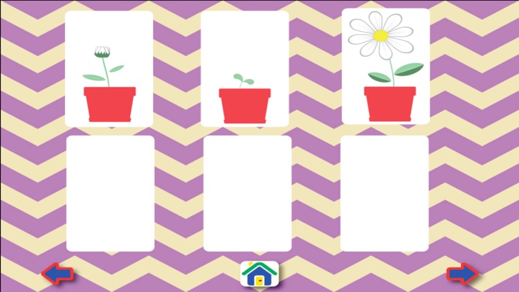 Patterns and Sequencing screenshot-5