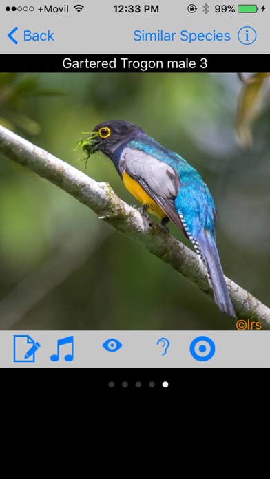 How to cancel & delete Belize Birds Field Guide from iphone & ipad 2