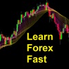 Forex offline trainer