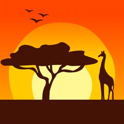 Safari Run 3D