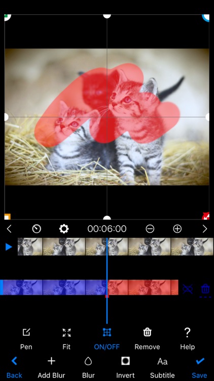BokashiMaru Blur Photo & Video screenshot-4