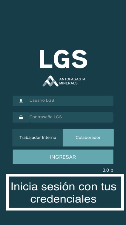 LGS AMinerals 2020