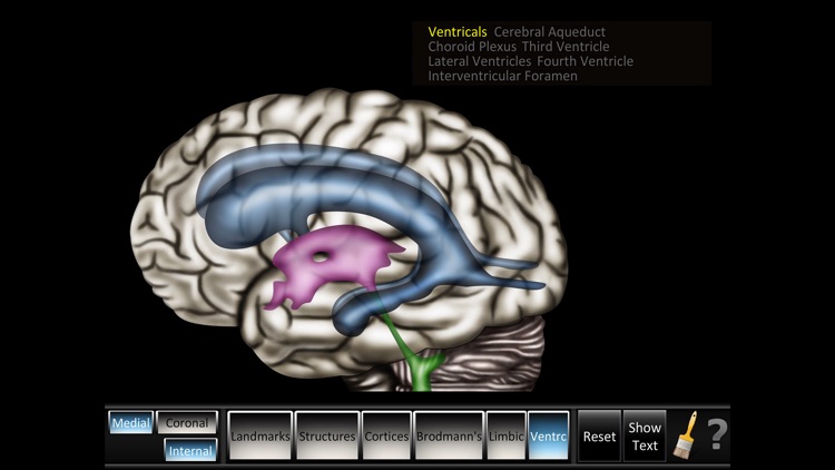 Cerebrum ID screenshot-4