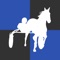 Catch Driver is an online 3D multiplayer horse racing game where you can race against your friends and other users