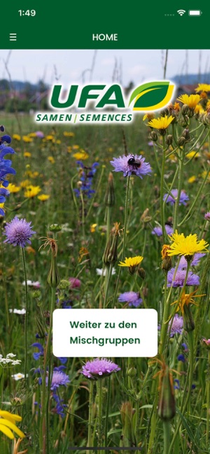 UFA Wildblumen(圖1)-速報App