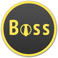  BOSS Small Business Accounting Alternatives