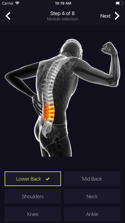 Physiolab - Lower Back Pain