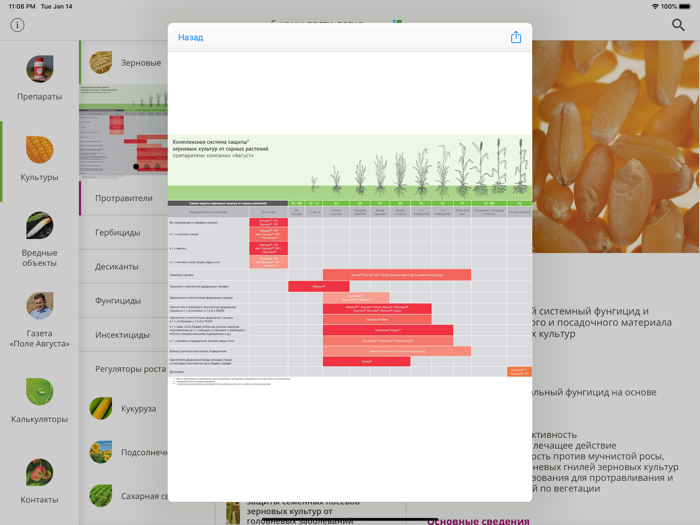 Защита растений Август РФ