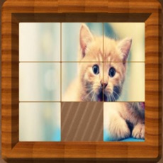 Activities of Sliding Puzzle : Tile Puzzle