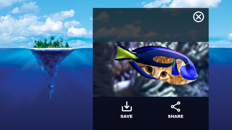 Flashy Fish: Design Evolution screenshot-3