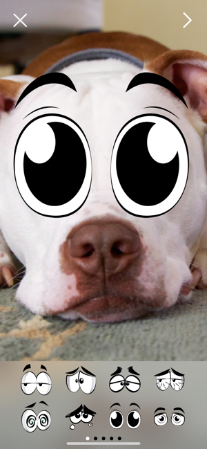 Crazy Eyes Pro Photo Stickers(圖5)-速報App